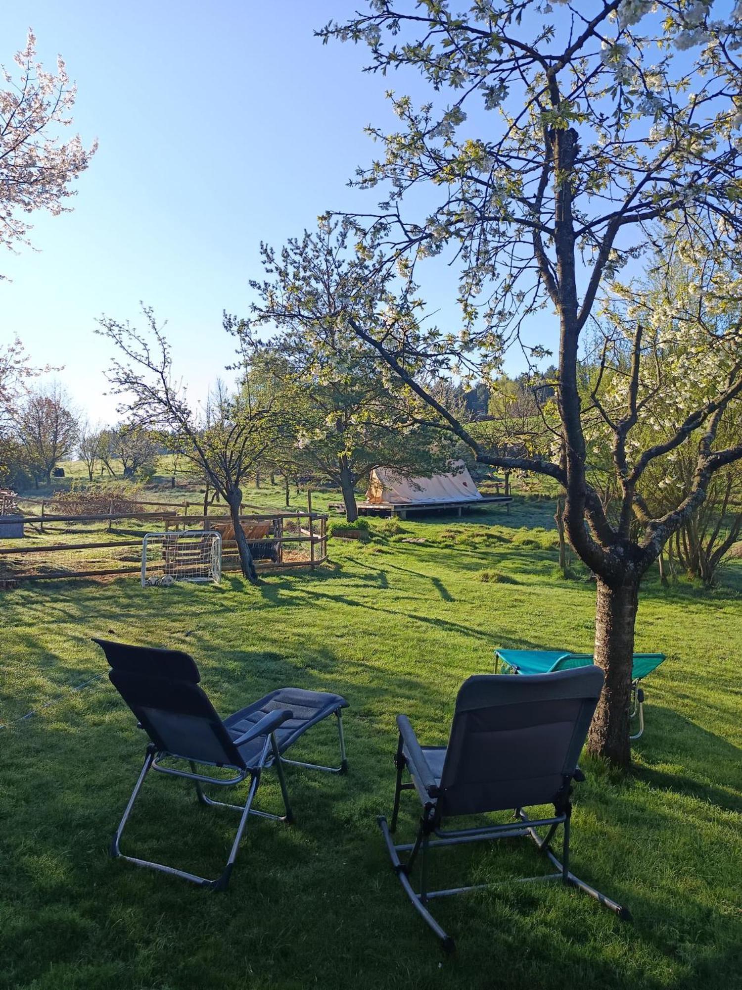 Die Alm In Schoellbuechl, Privatzimmer Sankt Martin  Exterior photo